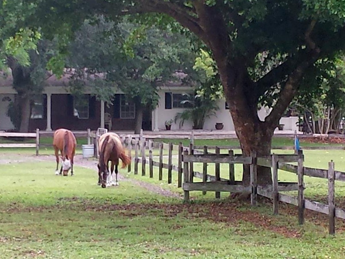 Davie, FL